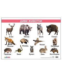 Cubos Ученическо табло ''Диви животни'', ламинирано, 50 x 70 cm, модел 2