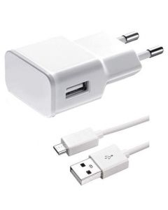 Мрежово зарядно устройство, DLFI, 5V/2A, 220V,1 x USB, С Micro USB кабел, Бял - 14859