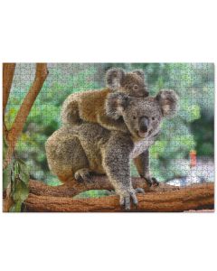 Dodo Пъзел 1000ч. - "Koala baby and mom" 301183D