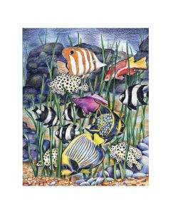Royal&Langnickel Рисуване по номера с цветни моливи 22х30 - Тропически риби CPN7