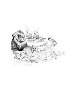 Royal&Langnickel Рисуване графика 29х39 - Лъвове SKBNL6