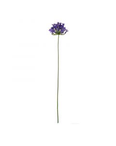 ASA Selection декоративно растение 75см синьо 66628444