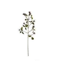 ASA Selection декоративно растение клонче 68см лилаво 66635444