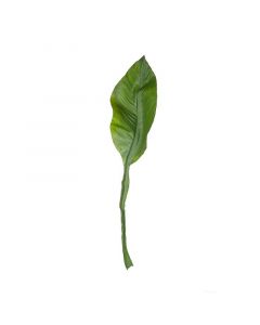 ASA Selection декоративно растение листо амазонска лилия 75см 66647444