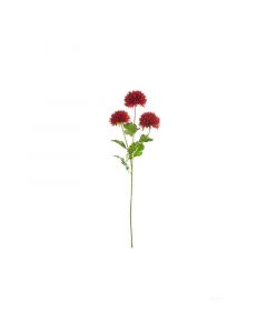 ASA Selection декоративно растение 63см червено 66672444