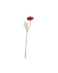 ASA Selection декоративно растение 30,5см червено 66673444