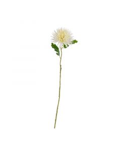 ASA Selection декоративно растение хризантема 53см бяло 66677444