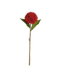 ASA Selection декоративно растение 42см червено 66687444