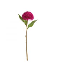 ASA Selection декоративно растение 42см лилаво 66688444