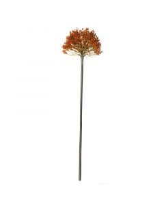 ASA Selection декоративно растение Алиум 57 см оранжево 66893444
