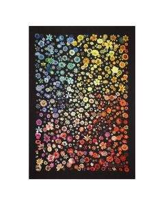 Designers Guild одеяло Jardin des Hesperides Multicolore BLCL5006