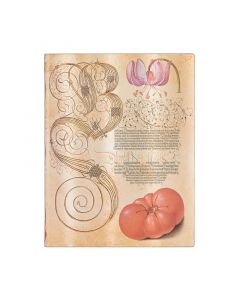 Paperblanks Тефтер Lily & Tomato, 180 х 230 mm, широки редове, мека корица, 88 листа