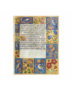 Paperblanks Тефтер Ancient Illumination, Ultra, широки редове, мека корица, 88 листа