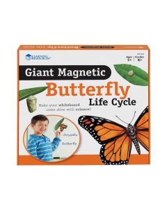 Learning Resources Магнитен комплект Жизнен цикъл на пеперуда