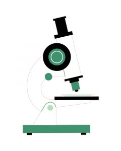 STEM Стикер, Природни науки - Биология, комплект F8, 150 cm, стикер 3