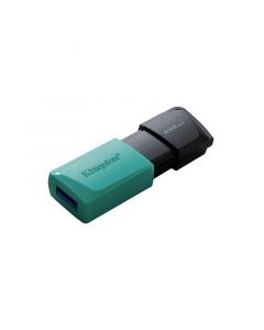 Памет USB Kingston DTXM 256GB