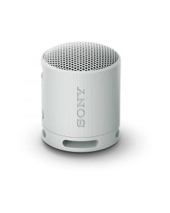 Bluetooth колонка Sony SRSXB100H