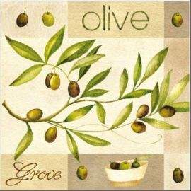 Салфетки маслини PW141