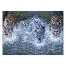 Royal&Langnickel Рисуване по номера с акрилни бои Junior Large - 39х30 - Тигри PJL34