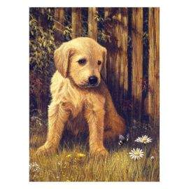 Royal&Langnickel Рисуване по номера с акрилни бои Junior - 22х30 - Кученце PJS60