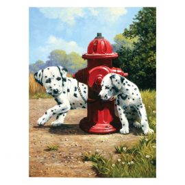 Royal&Langnickel Рисуване по номера с акрилни бои Junior-22,2 х 29,8 см."Кученци-далматинци" PJS80