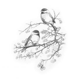 Royal&Langnickel Рисуване графика 23х30 - Птички SKBN25