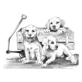 Royal&Langnickel Рисуване графика 29х39 - Кученца в количка SKBNL10