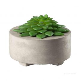 ASA Selection декоративно растение Maxi Succulent II 66251444