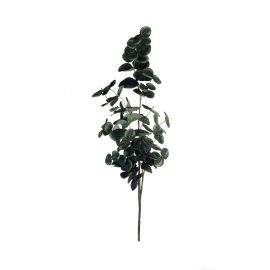 ASA Selection декоративно растение евкалипт 45см 66495444