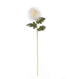 ASA Selection декоративно растение хризантема 90см бяло 66662444