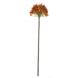 ASA Selection декоративно растение Алиум 57 см оранжево 66893444