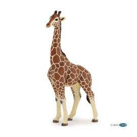 Papo фигурка жираф 50149